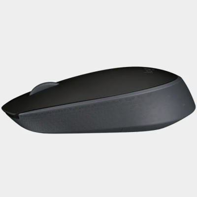 Logitech Wireless Mouse M171